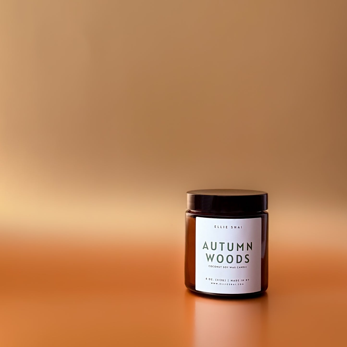 Autumn Woods