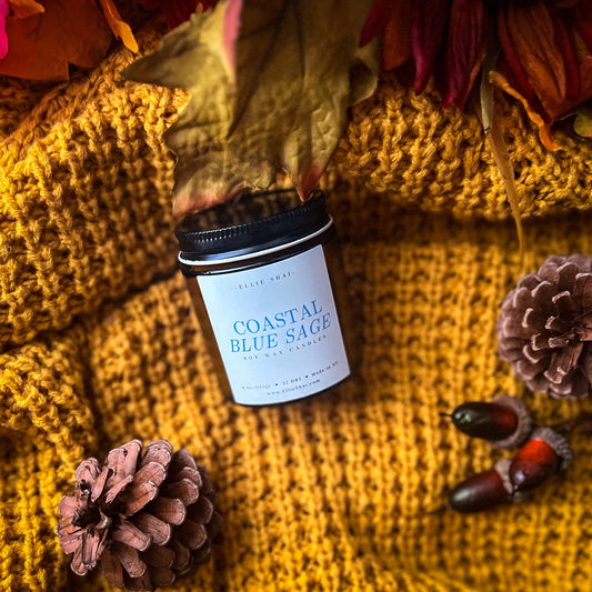 Coastal Blue Sage